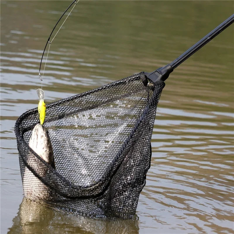 Telescopic Fishing Scoop Net